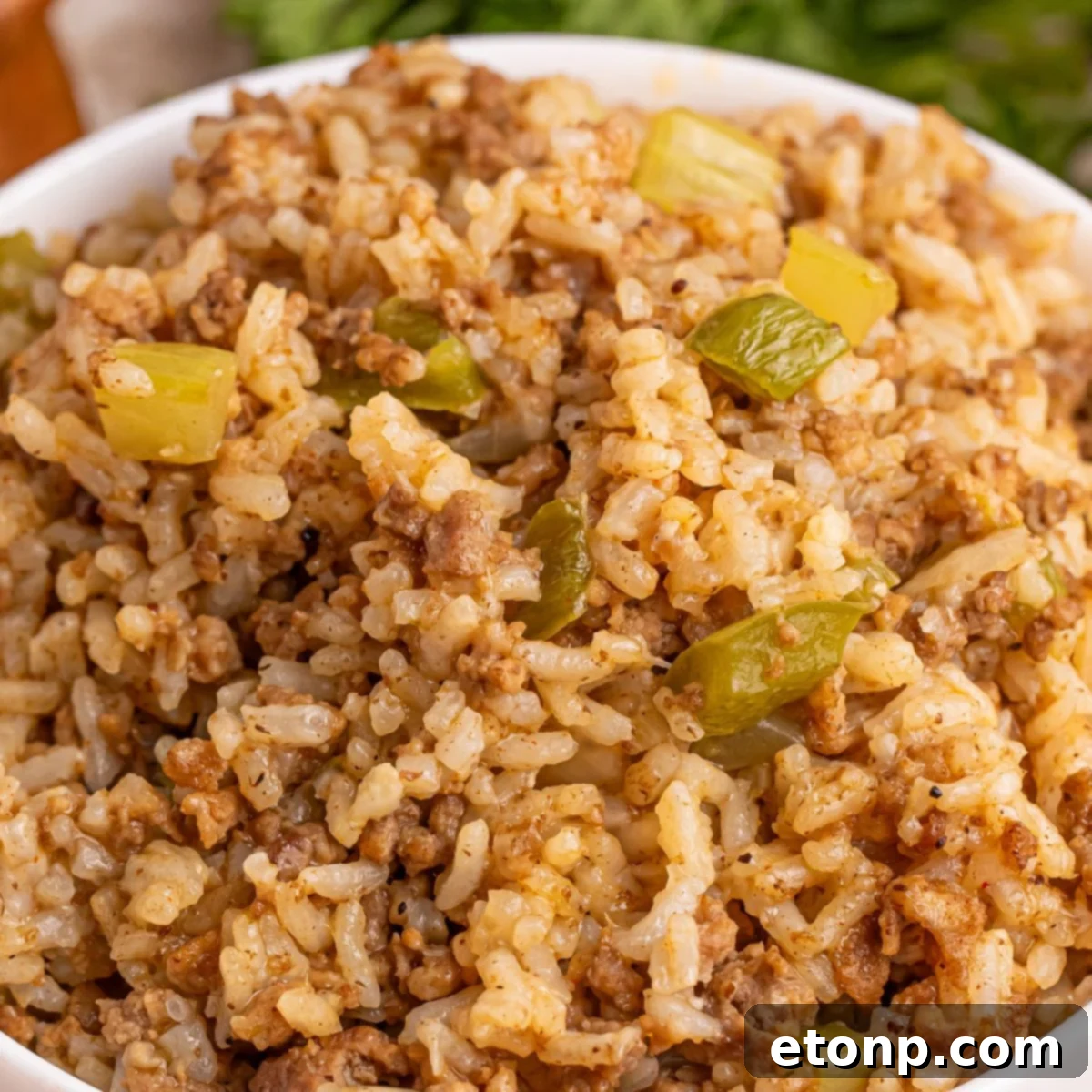 Cajun Dirty Rice 3 Dirty Rice in a white bowl sitting on a table