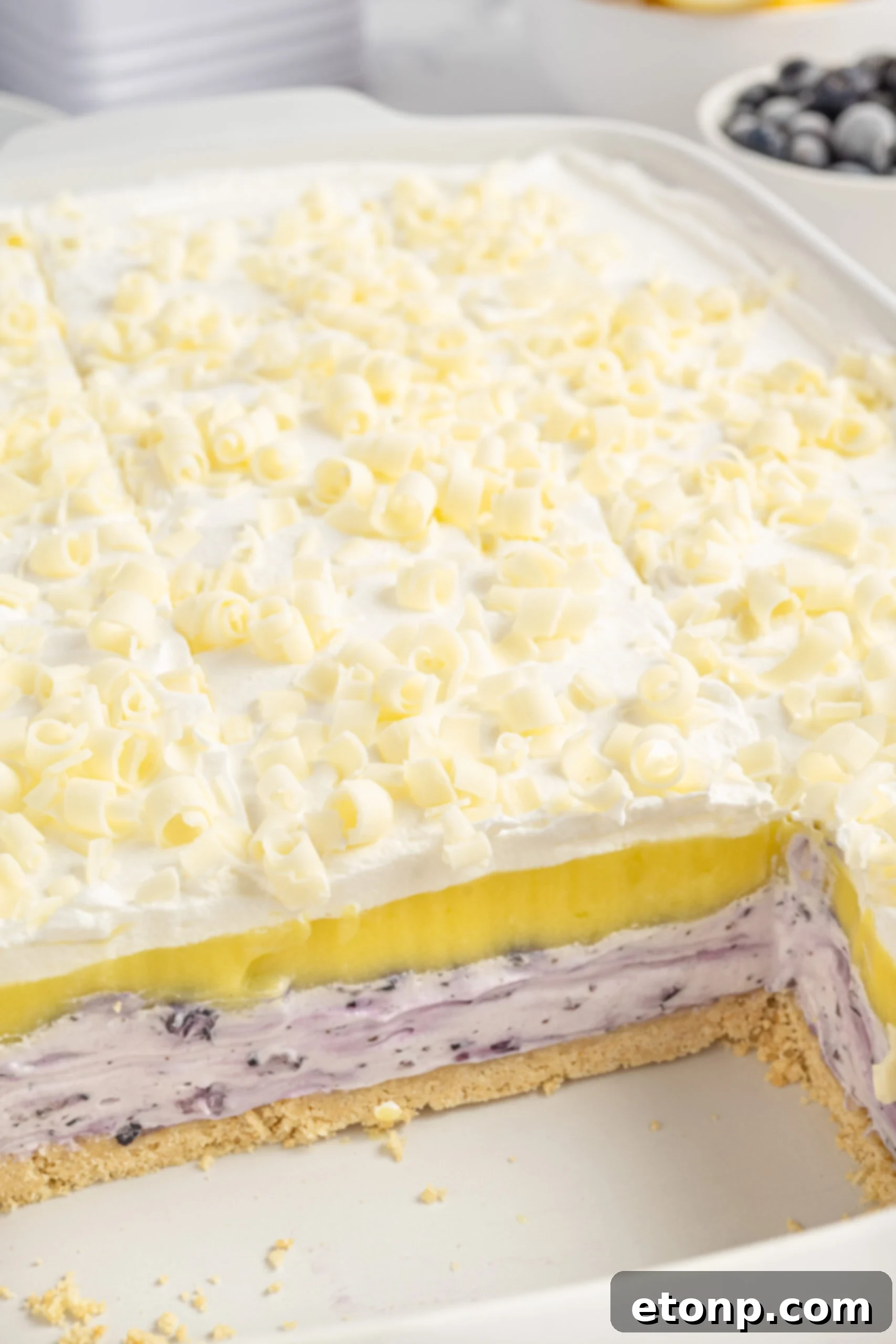 Lemon Blueberry Dream 16 close up look of Lemon Blueberry Lush in pan with a few slices gone