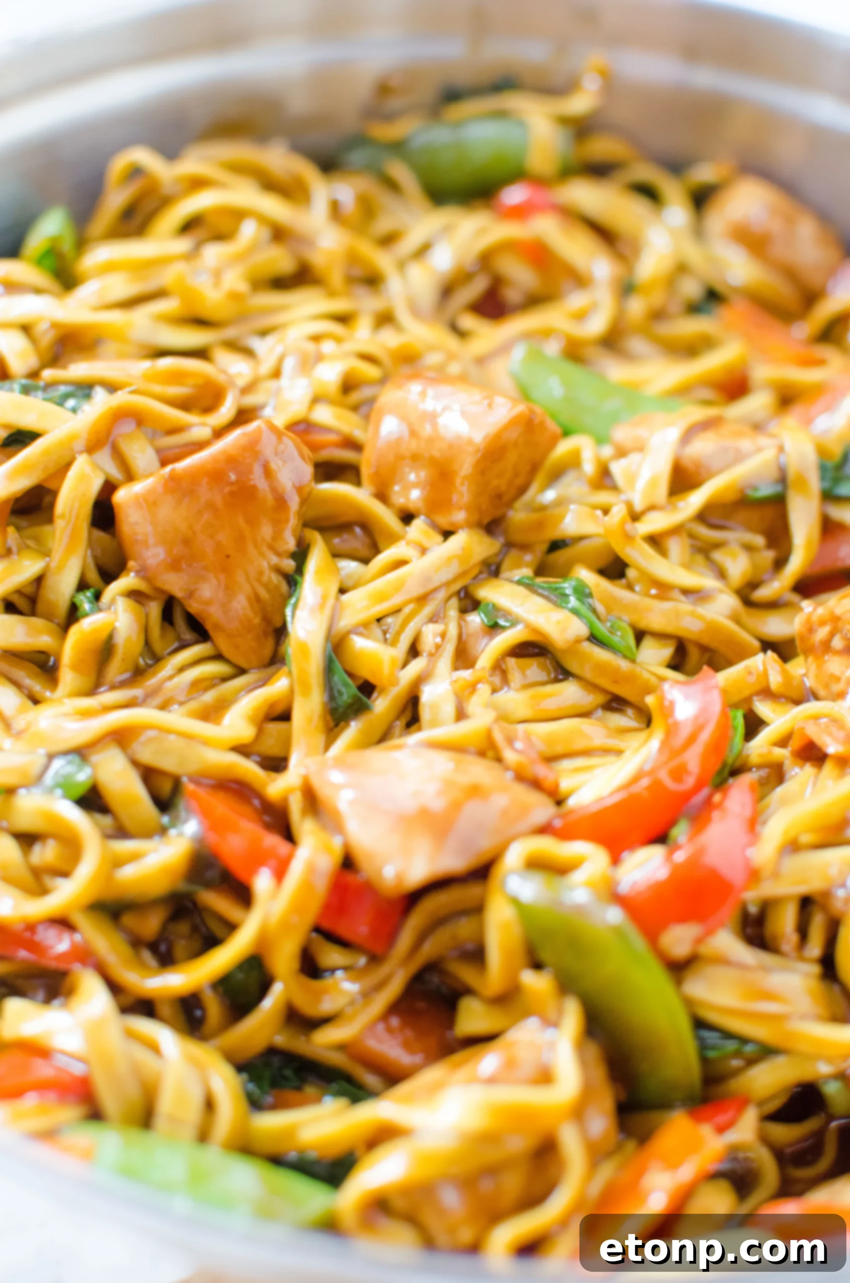 Another close-up of saucy chicken lo mein