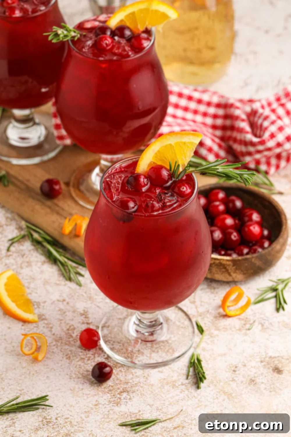Cranberry Whiskey Sour cocktail elegantly garnished