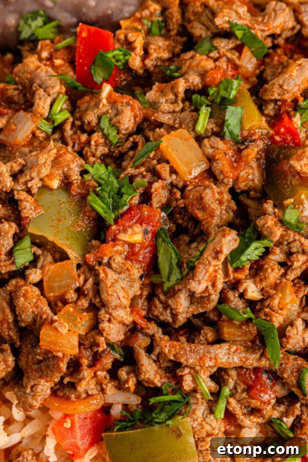 Ground Beef 12 Carne Picada on a plate showcasing the meat and peppers