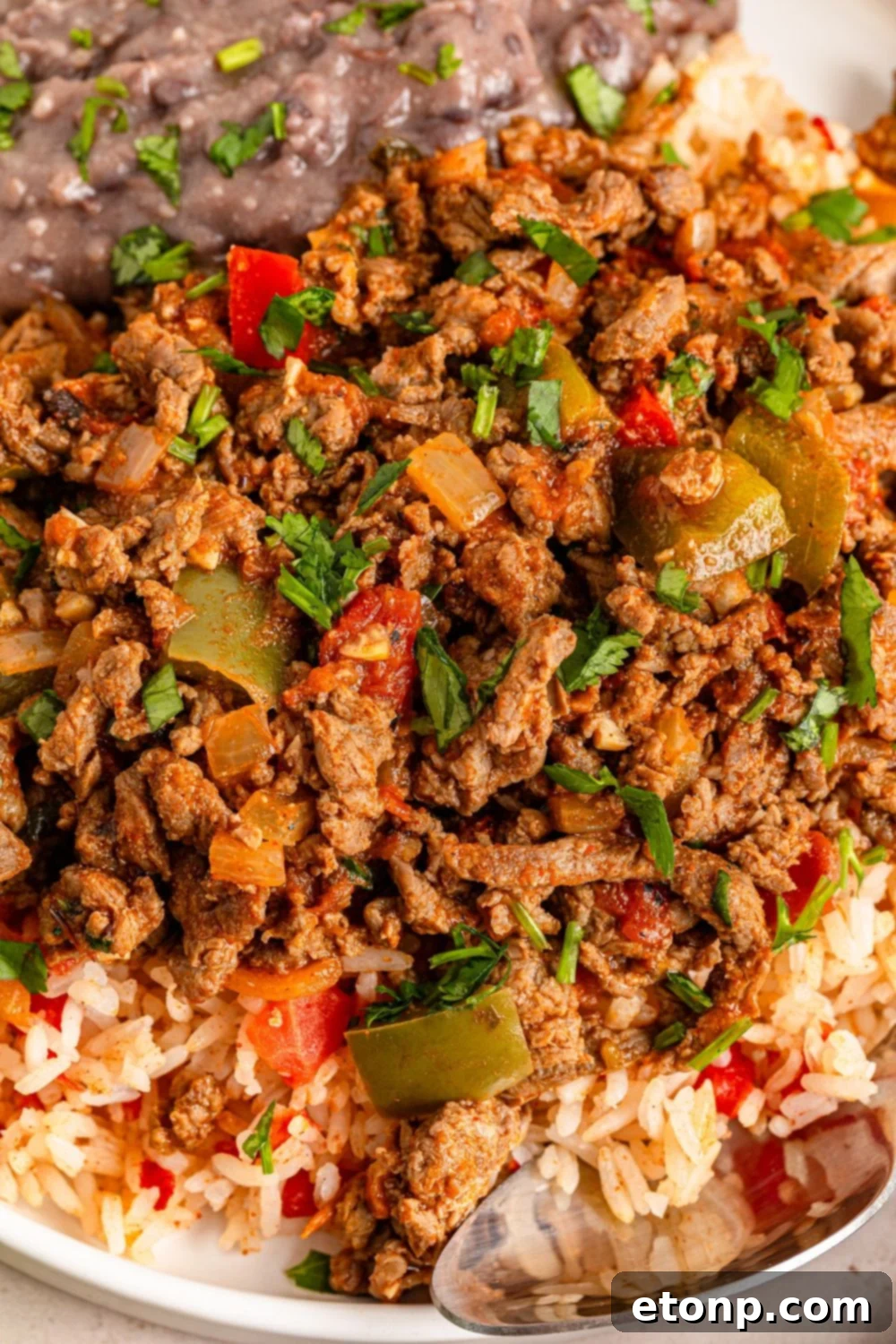 Ground Beef 17 Carne Picada in a bowl with rice and mashed beans with a spoon around the bowl