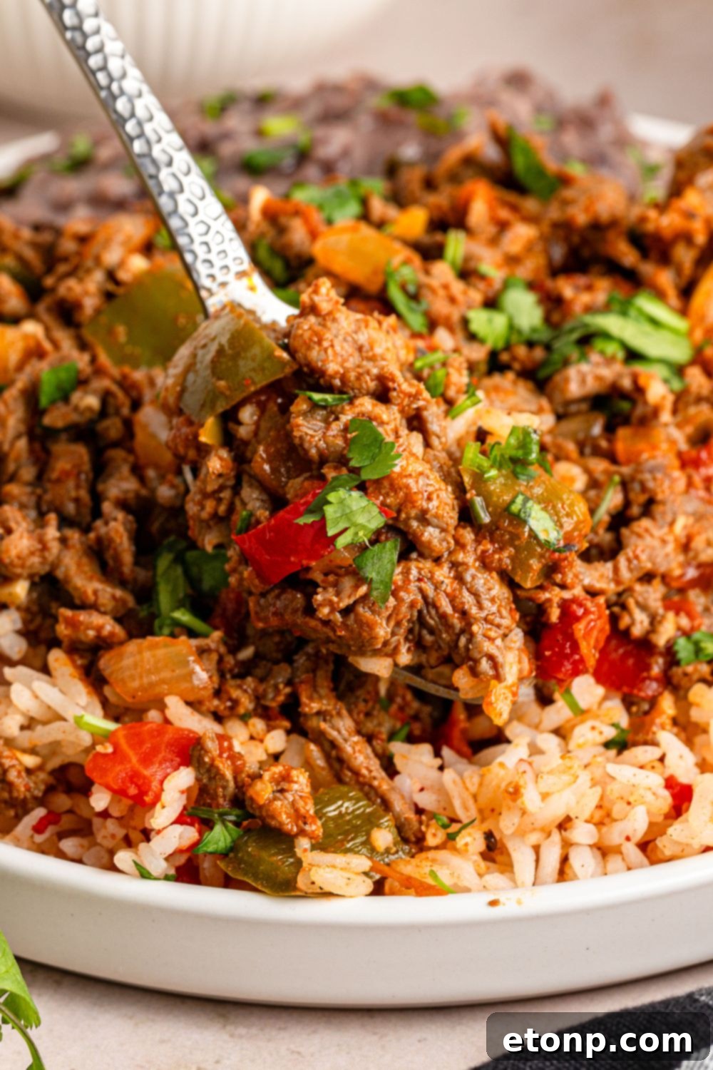 Ground Beef 4 Carne Picada in a bowl with rice under it and a spoonful of meat to show the beef
