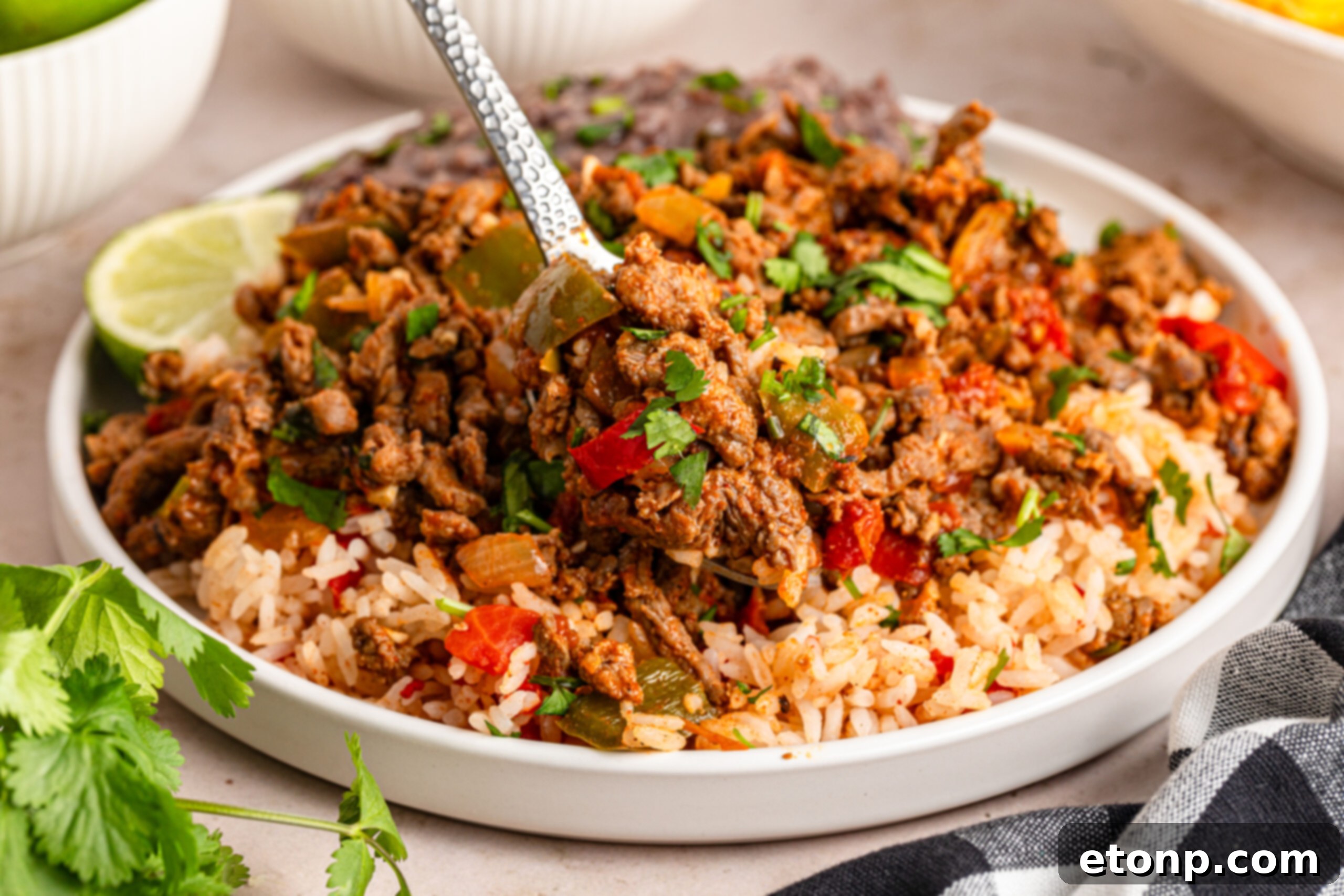 Ground Beef 6 Carne Picada in white bowl with rice under it and a spoonful of meat being lifted to show the beef