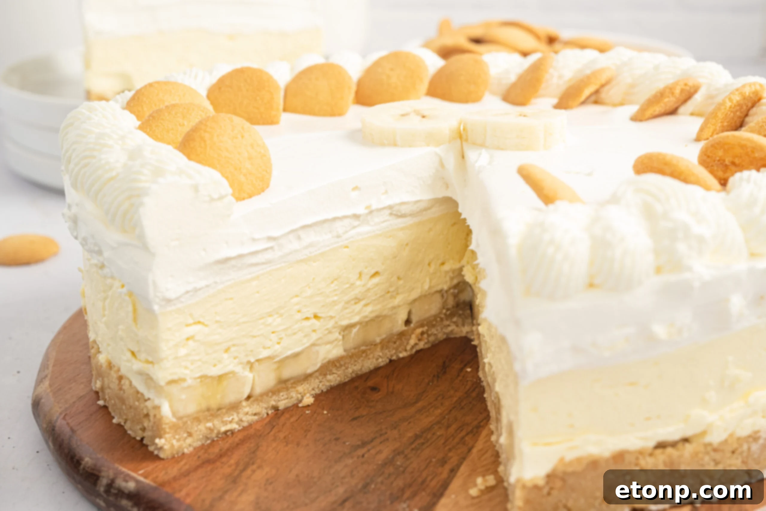 Dreamy No Bake Banana Pudding Cheesecake 15 Overhead view of a prepared cheesecake crust in a pan, with ingredients around it, suggesting preparation.