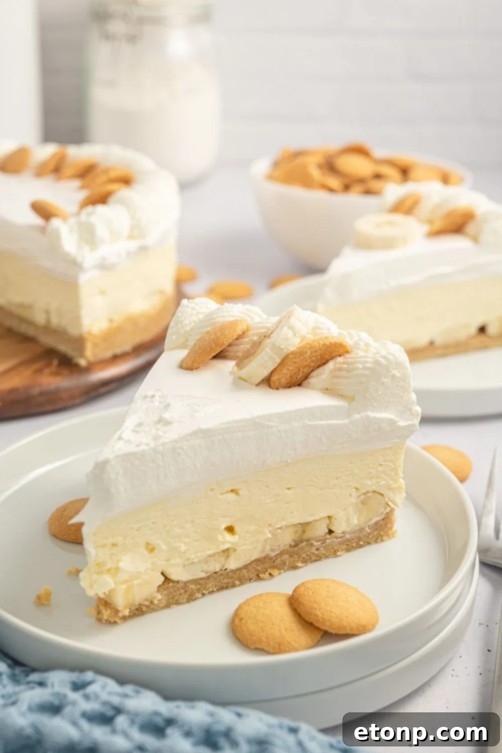 Dreamy No Bake Banana Pudding Cheesecake 16 Individual slices of banana pudding cheesecake on plates, garnished with vanilla wafer cookies.