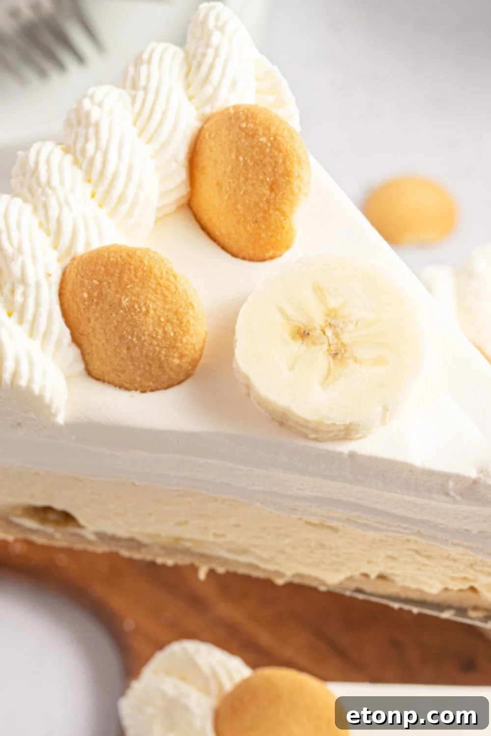 Dreamy No Bake Banana Pudding Cheesecake 18 Overhead shot of a slice of banana cream pudding cheesecake being carefully lifted from the pan.