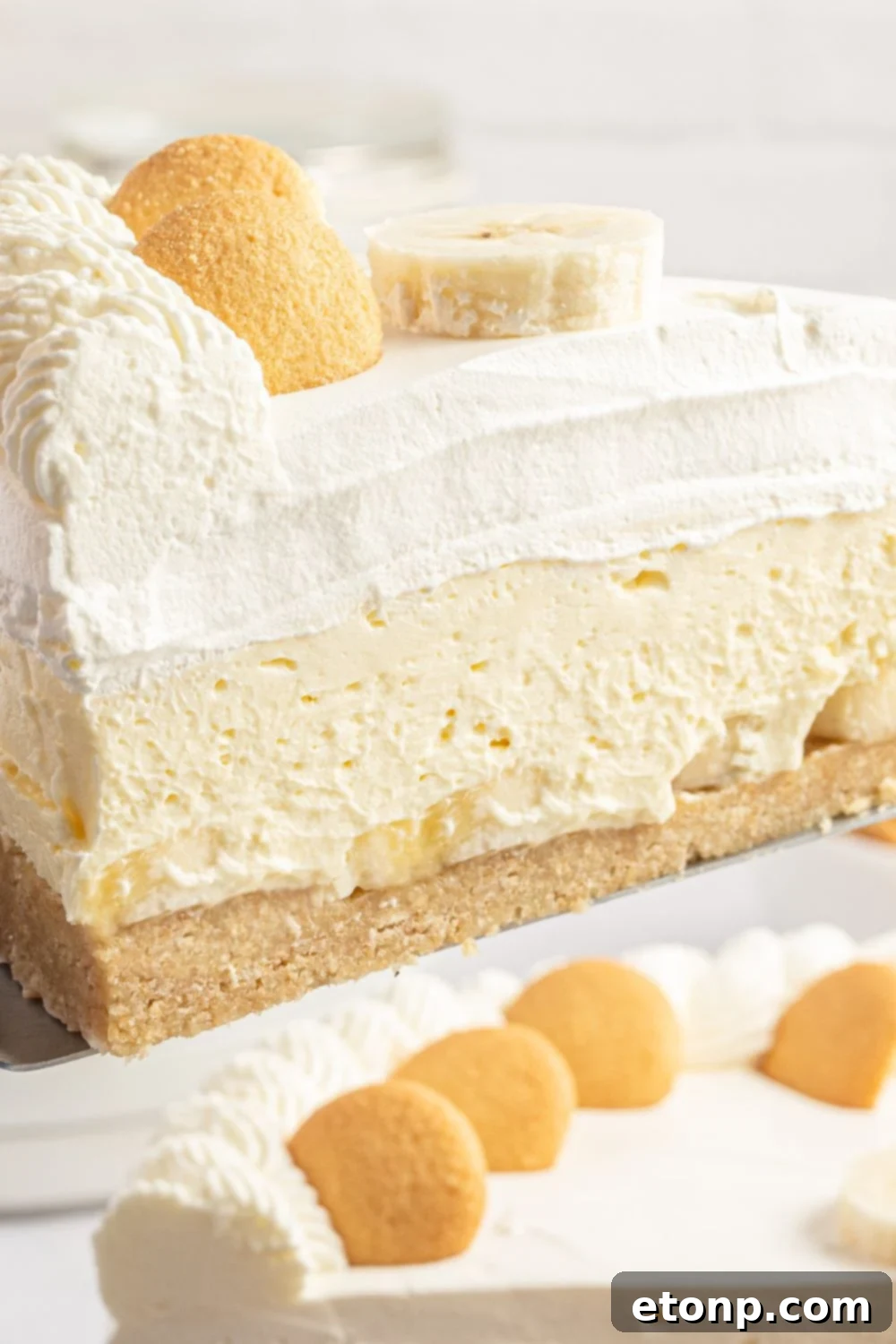 Dreamy No Bake Banana Pudding Cheesecake 5 Slice of banana cheesecake on a spatula, showcasing its distinct layers: crust, banana filling, and whipped cream.
