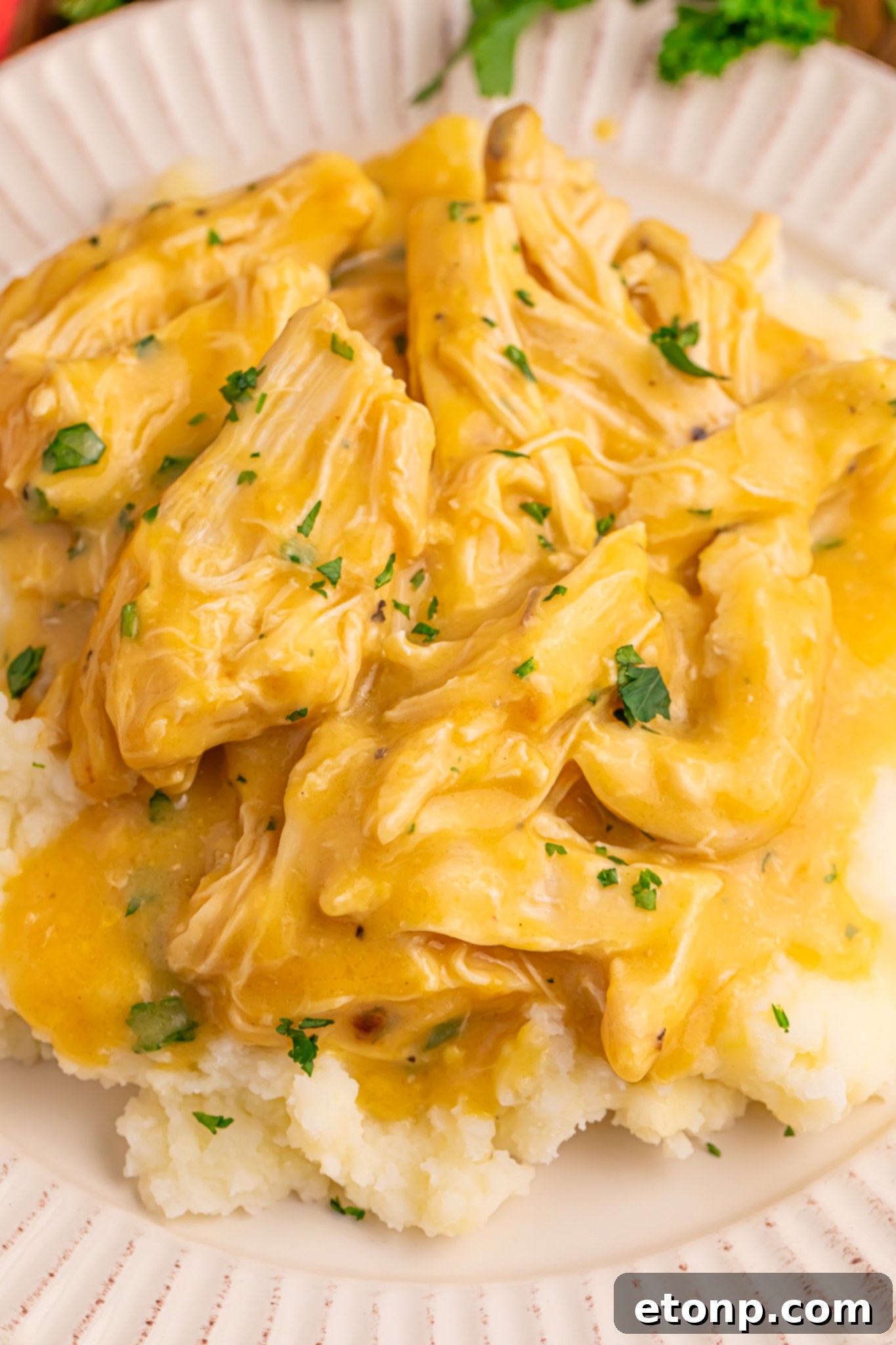 Crock Pot Chicken and Gravy on top of a bed of potatoes on a white plate 