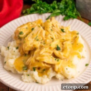 Crock Pot Chicken and Gravy on top of a bed of potatoes on a plate with parsley in the background