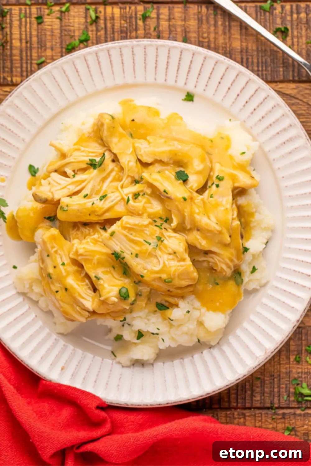 Chicken and Gravy with mashed potatoes on a plate sitting on a table 