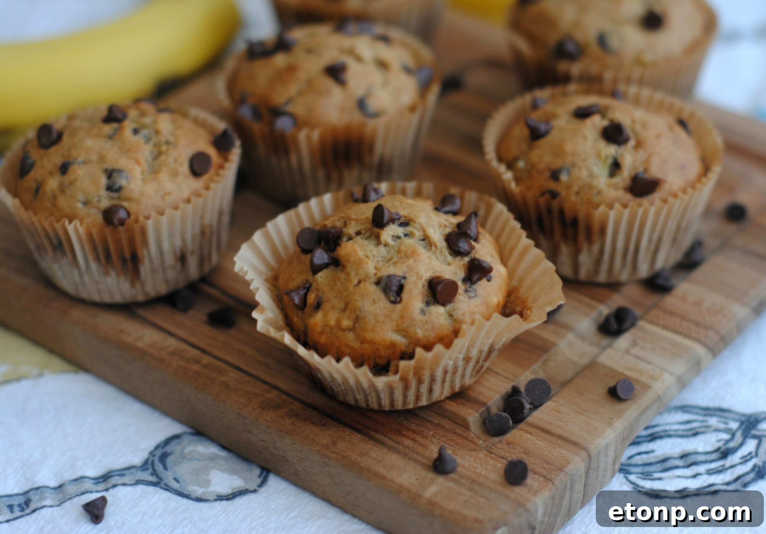 Delicious and easy homemade chocolate chip muffins