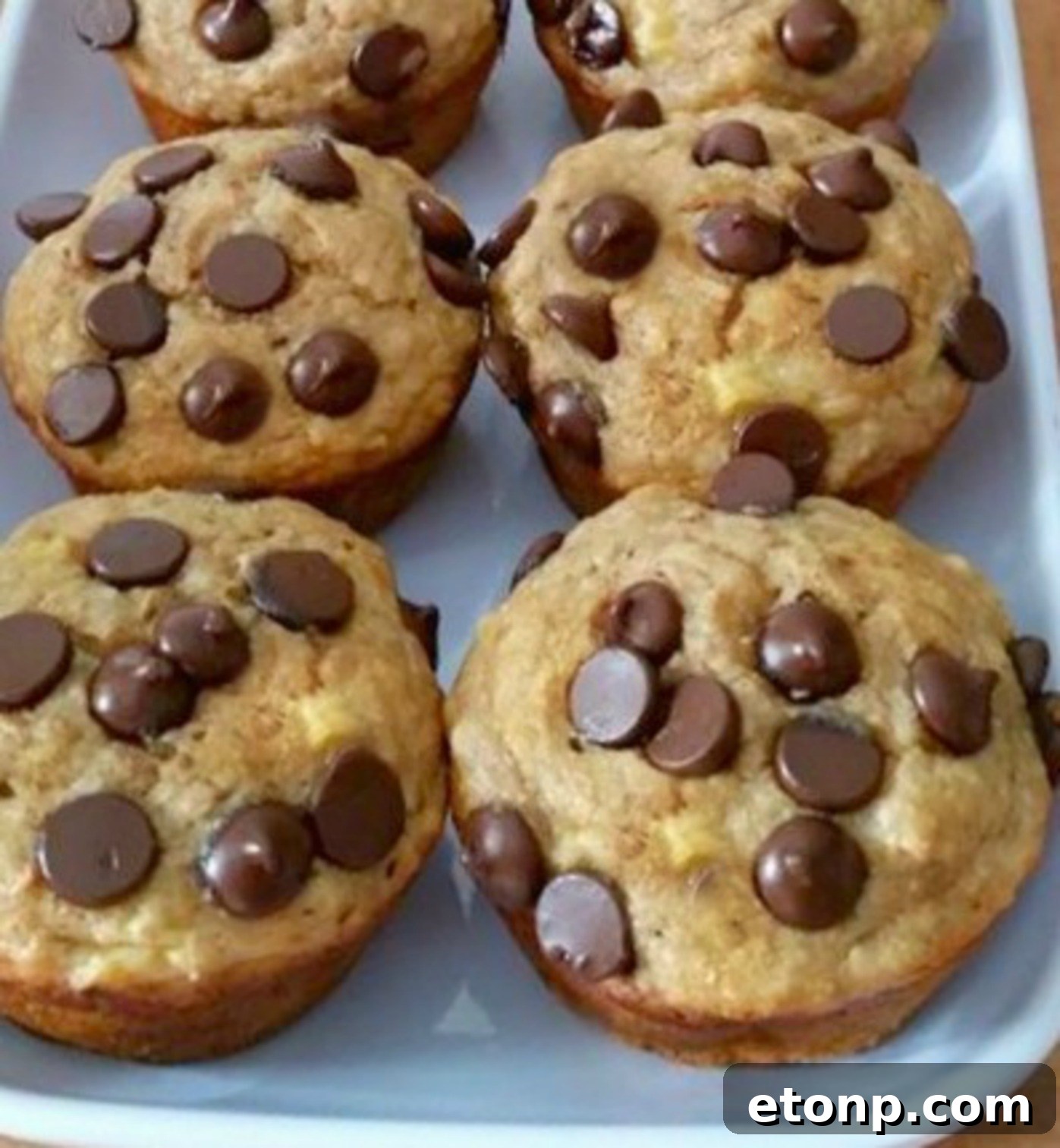 Close-up of a perfectly moist chocolate chip muffin