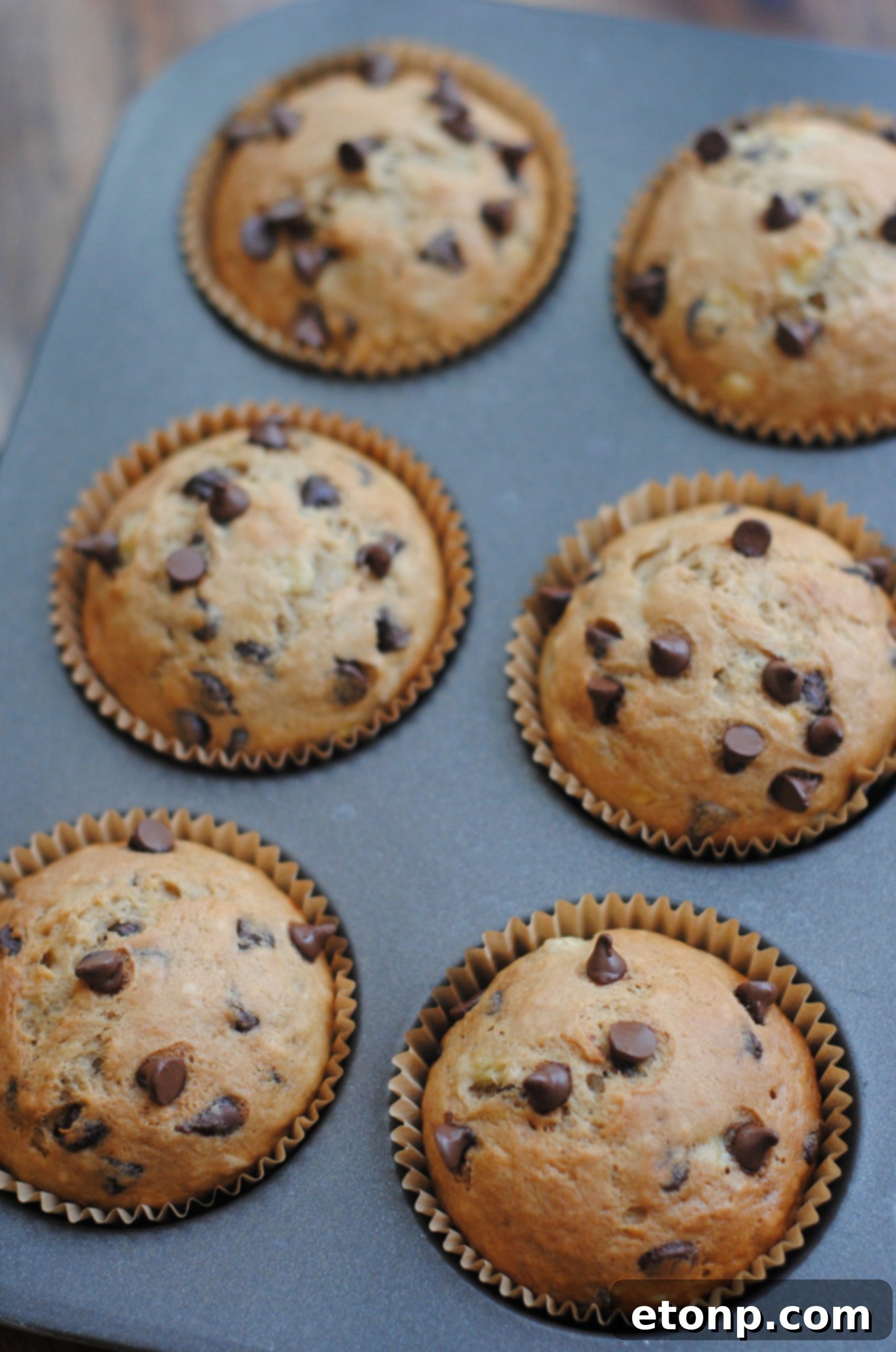 Mixing the wet ingredients for chocolate chip muffins