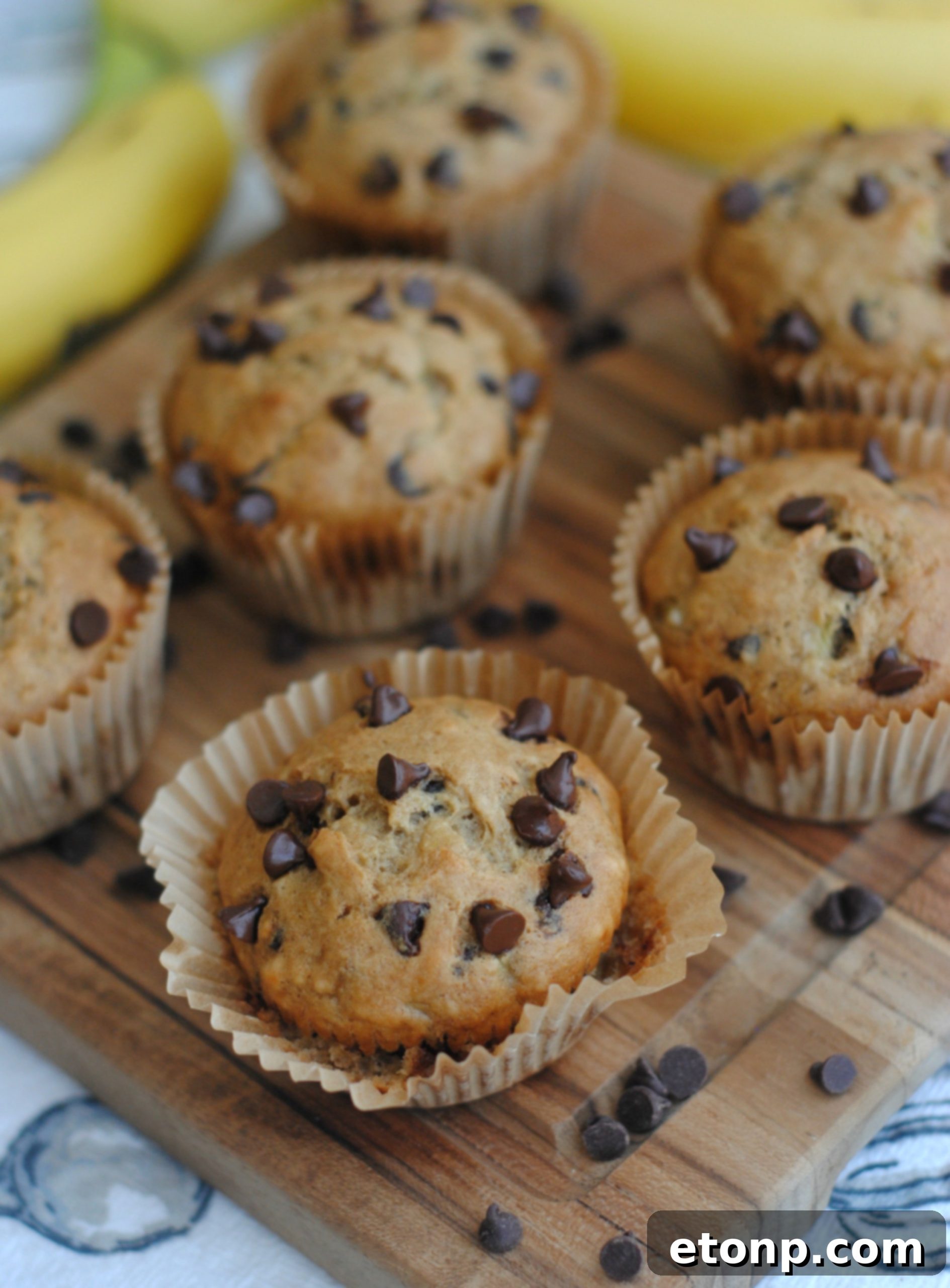 Finished chocolate chip muffins cooling on a rack