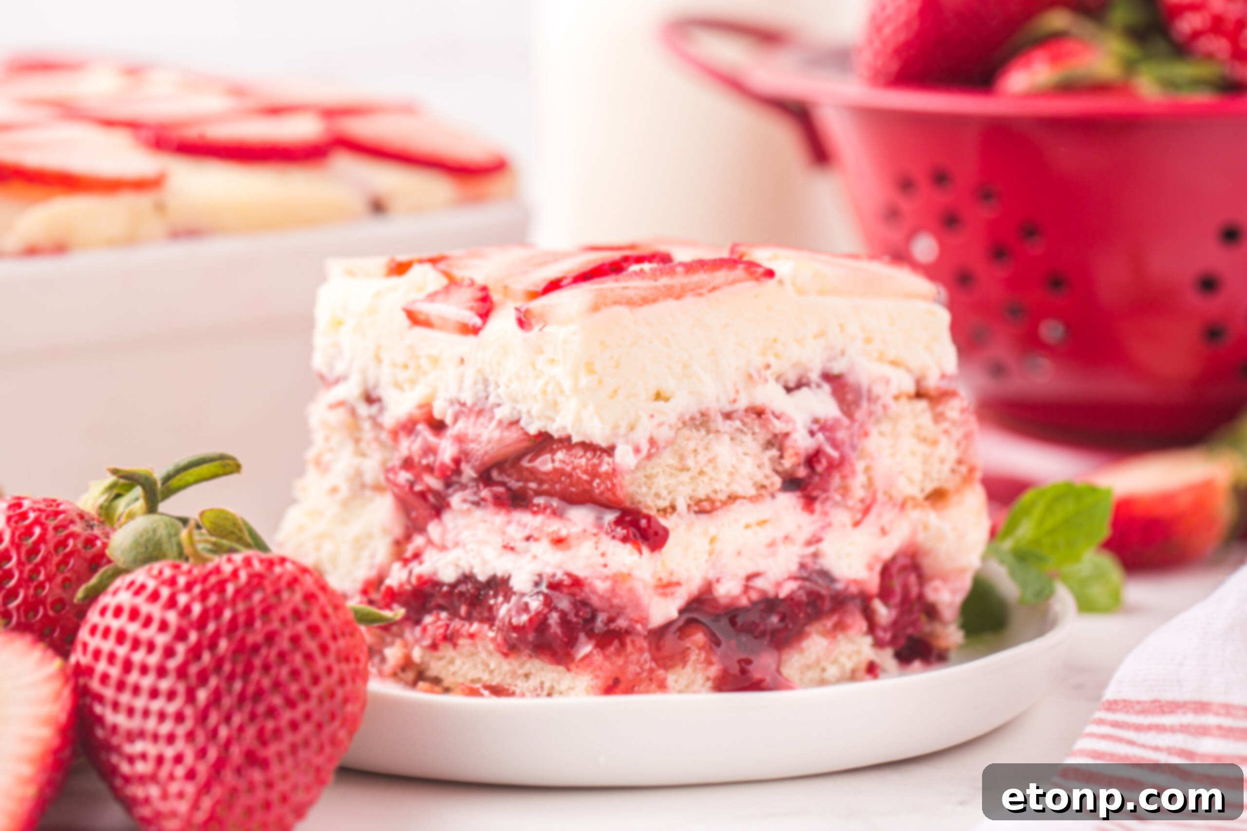 Strawberry Dream Tiramisu 19 A side view of a generous slice of Strawberry Tiramisu on a white plate, artfully surrounded by glistening fresh strawberries.