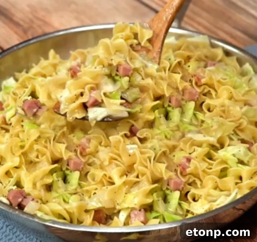 A bowl of freshly cooked Haluski, steaming with warmth, ready to be served.
