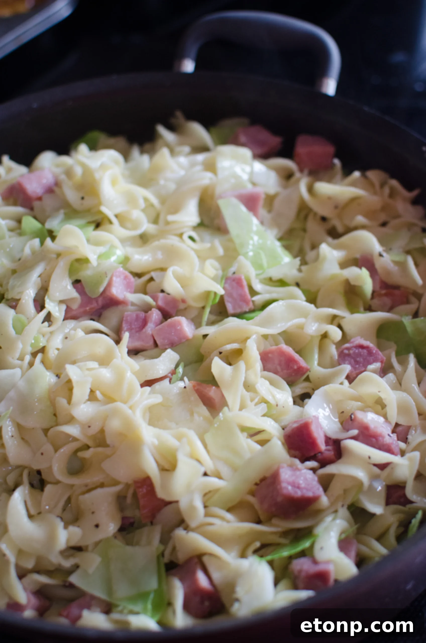 Cooked egg noodles waiting to be added to the Haluski mixture.