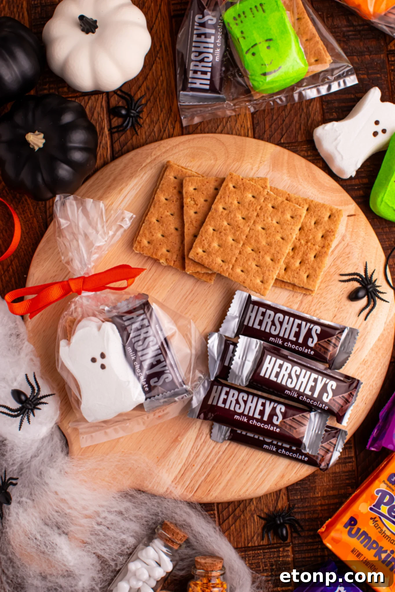 Spooky Smores Treat Packs 9 Assembled Halloween Smores Gift Bags in various styles