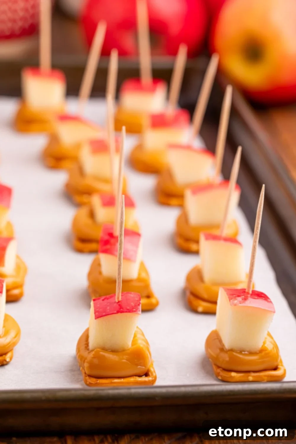 Sweet and Salty Caramel Apple Pretzel Bites 12 caramel apple bites with pretzels spread out on a cookie tray on table