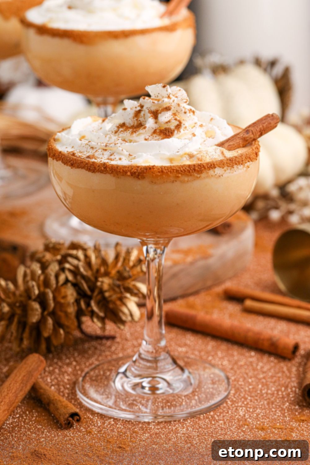 pumpkin spice martinis on table in glasses with pinecones, cinnamon sticks and more spread around the table