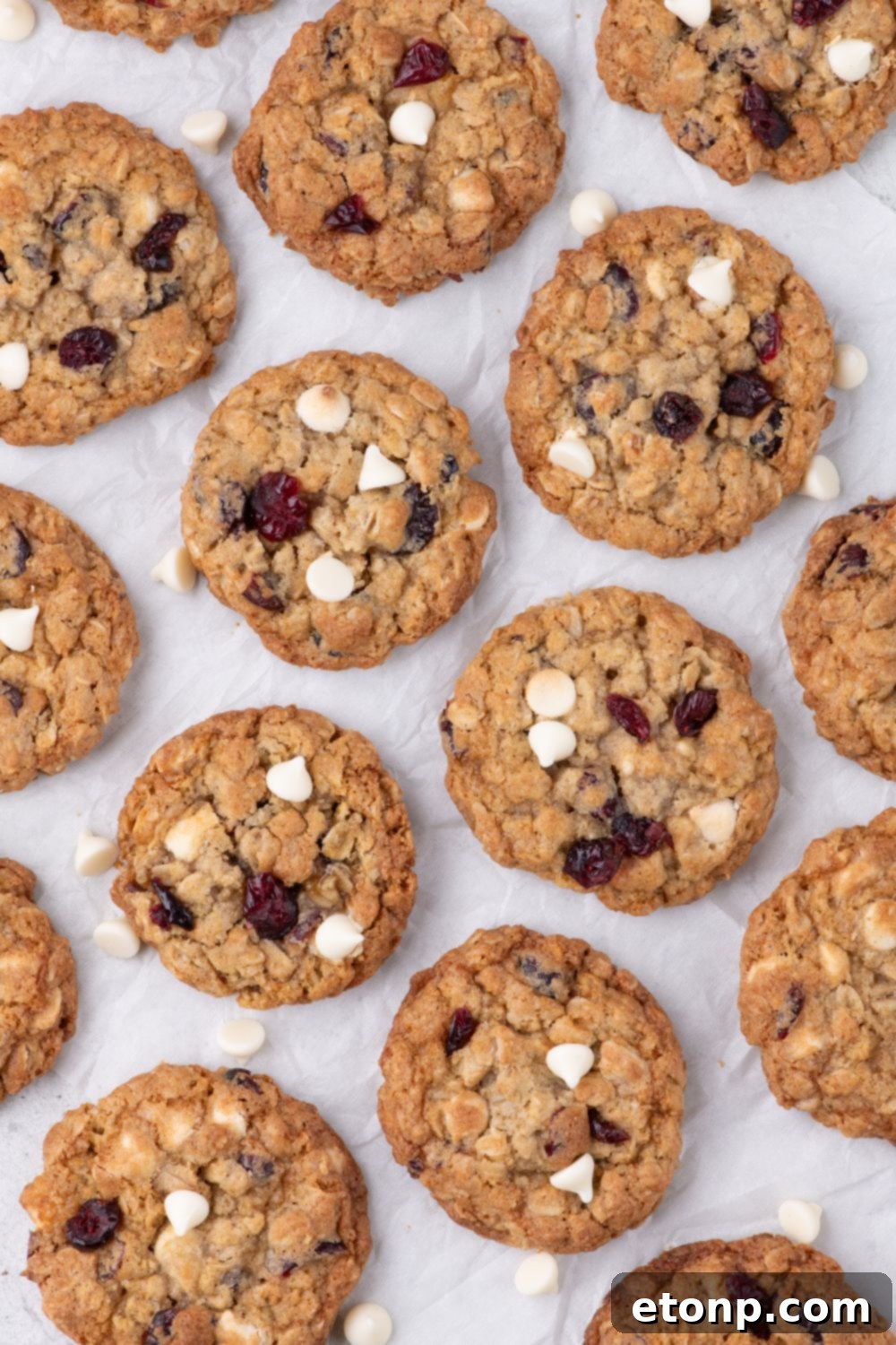White Chocolate Cranberry Oatmeal Cookies placed spread out on counter 