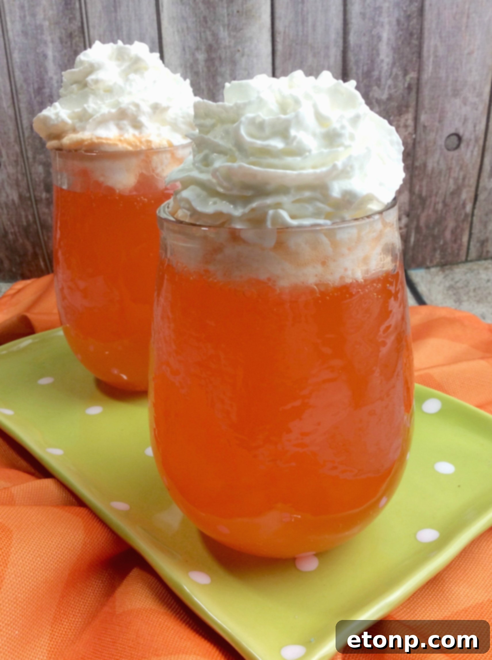Hands holding a beautifully prepared Orange Creamsicle Cocktail, topped with generous whipped cream and an orange slice.