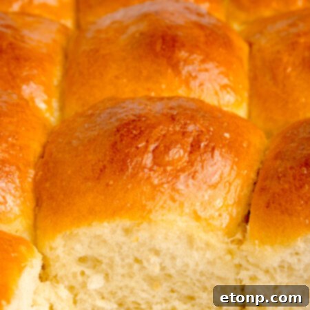 A single pull apart dinner roll on a white plate, showcasing its golden crust