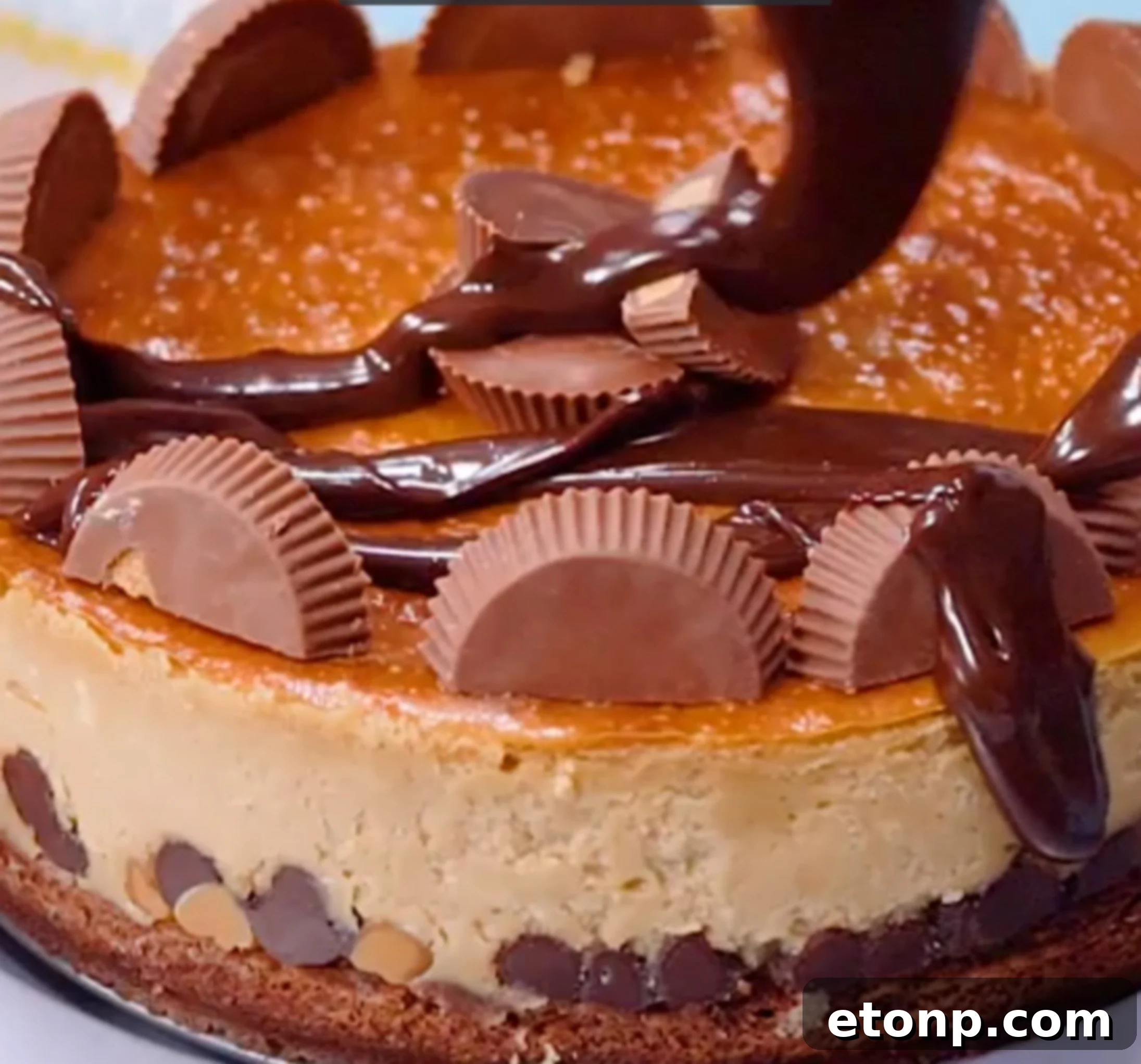Decadent Brownie Peanut Butter Cheesecake 2 Indulgent Reese's Peanut Butter Cup Cheesecake with a rich brownie base
