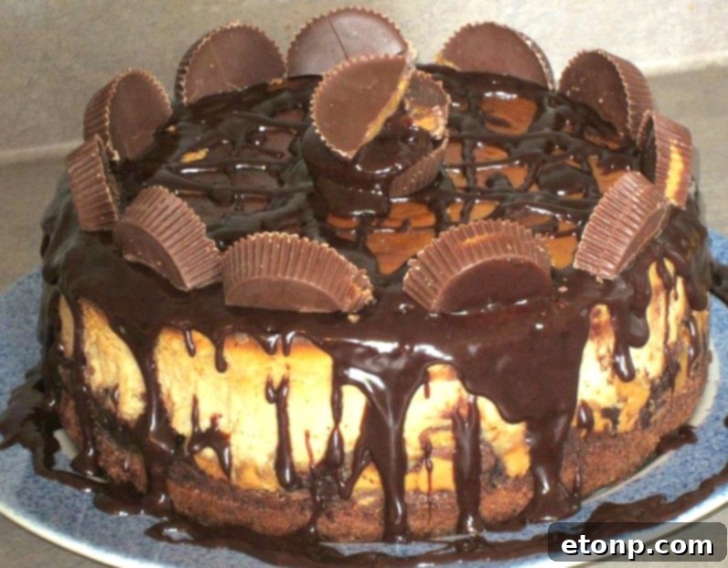 Decadent Brownie Peanut Butter Cheesecake 3 Close-up of a delectable slice of Reese's Peanut Butter Cup Cheesecake