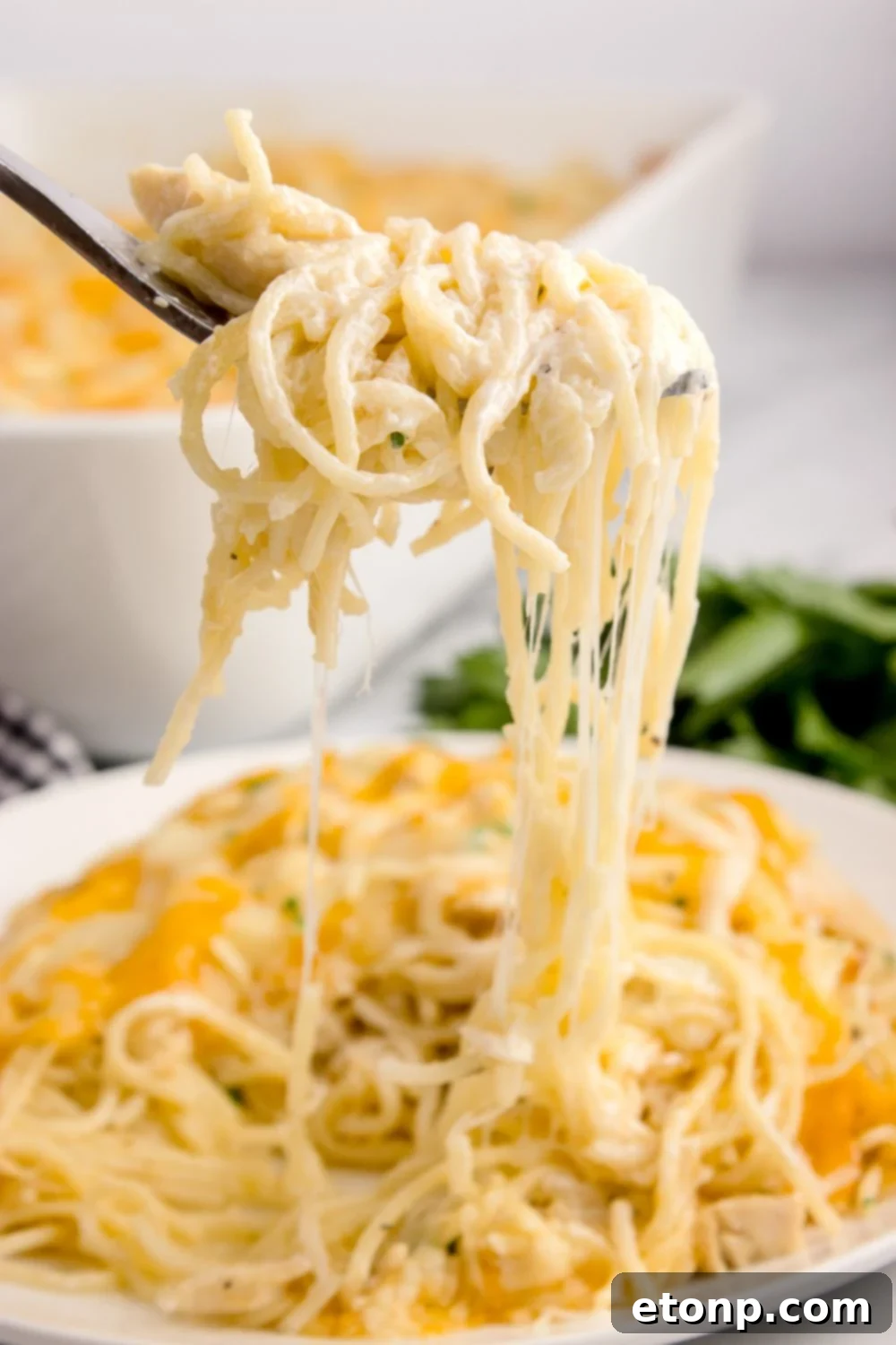 Chicken Tetrazzini on a plate being lifted up with a fork 