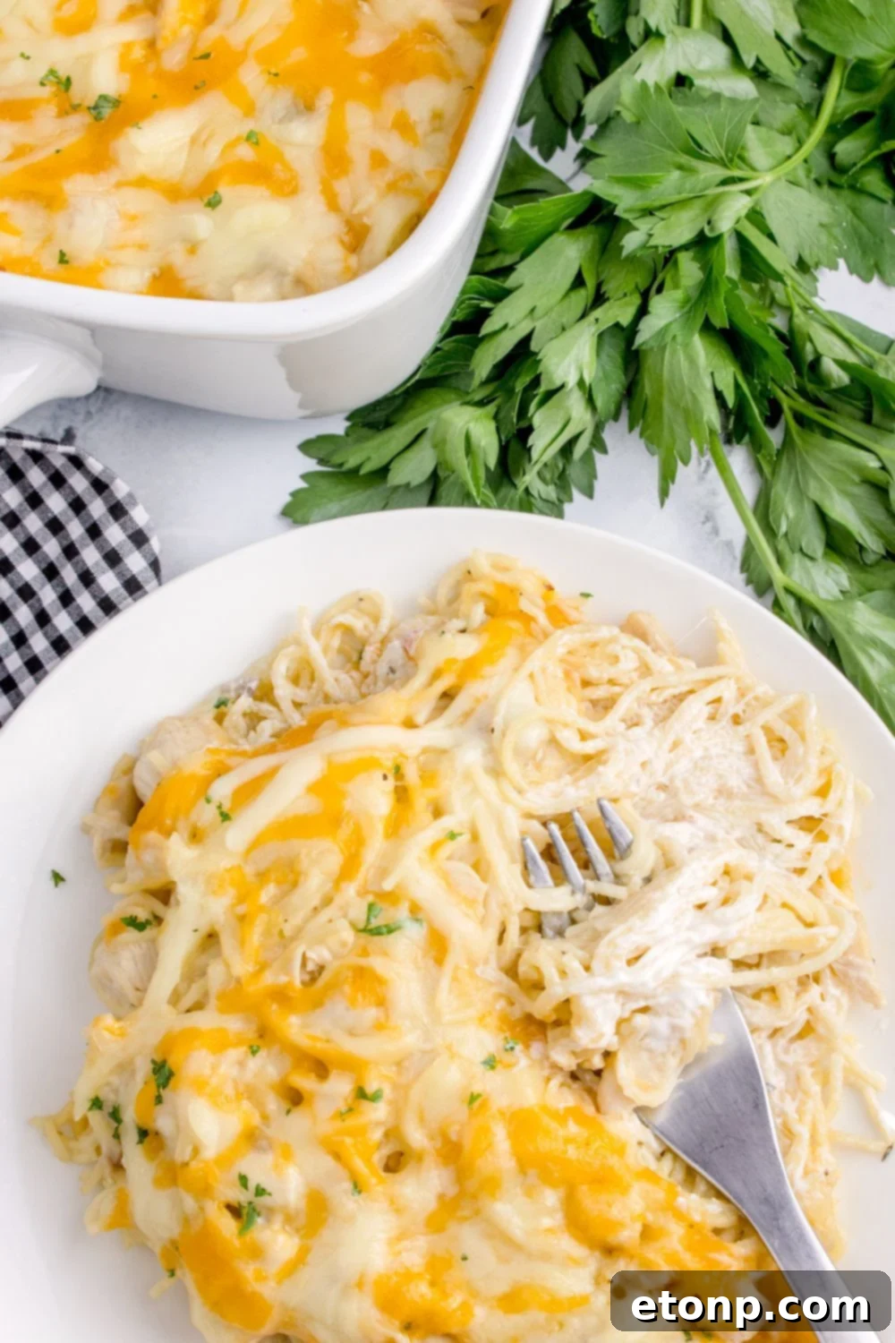Chicken Tetrazzini on a plate with more in a casserole dish behind it on table 