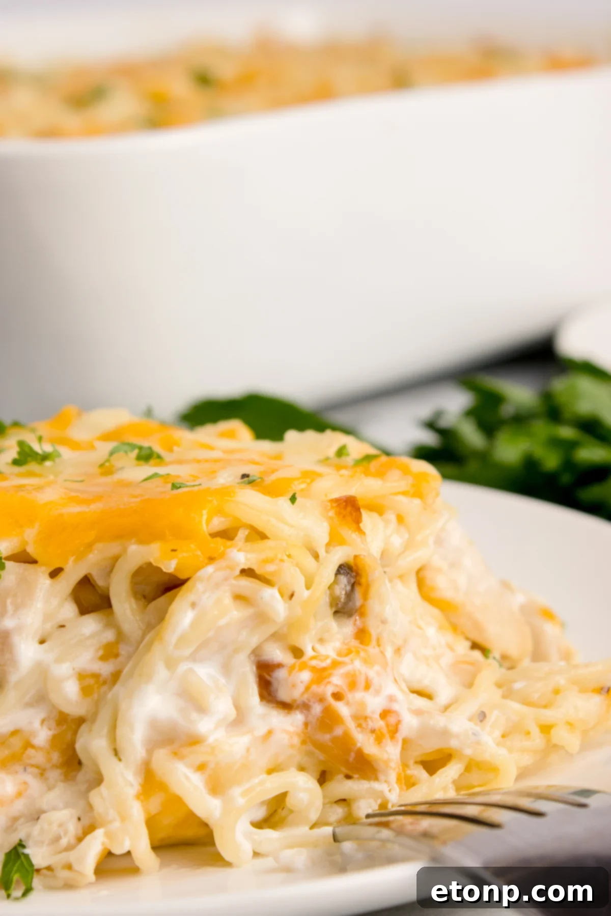 Up close shot of Chicken Tetrazzini on a plate
