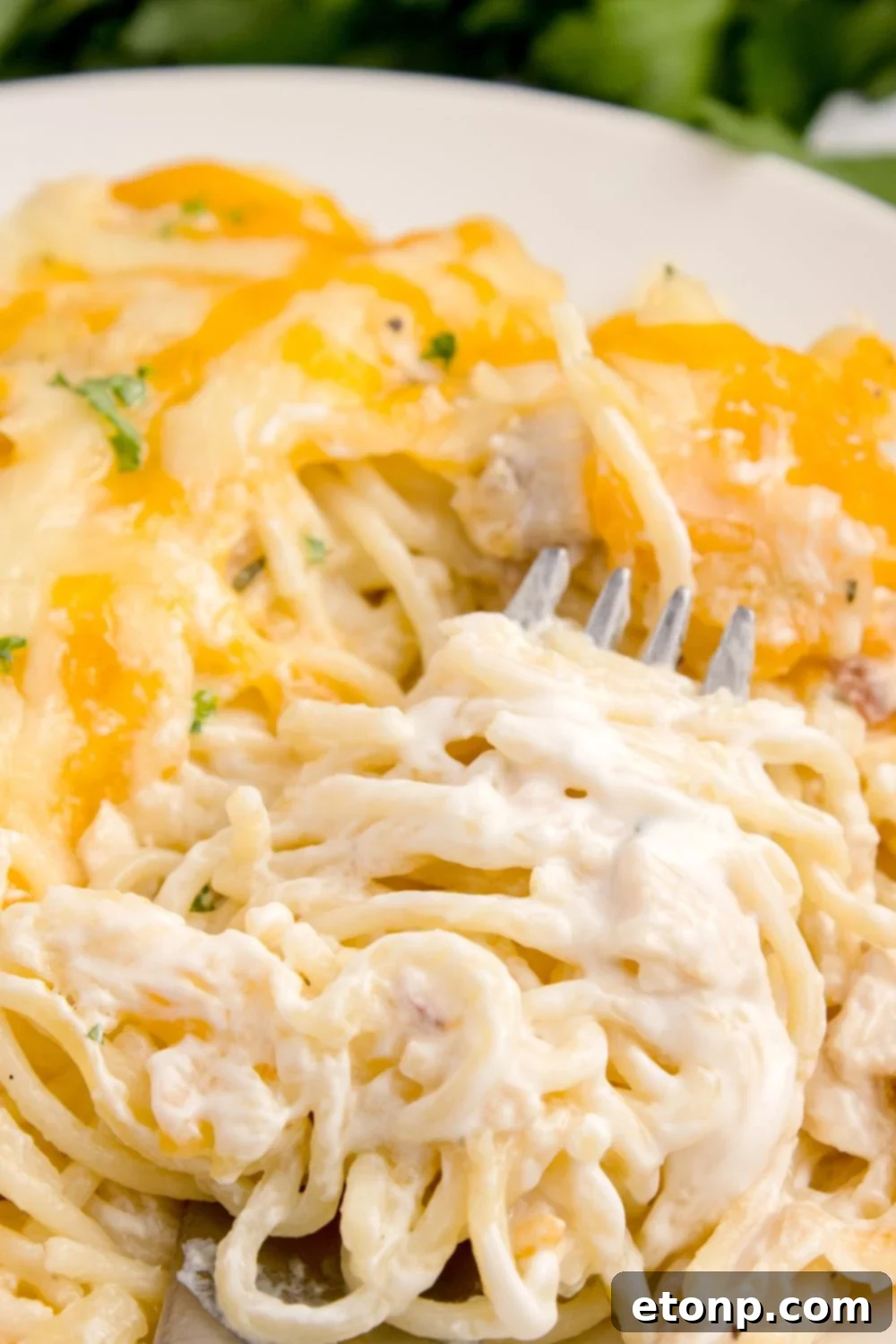 chicken tetrazzini casserole dished up on a plate with a fork full on a plate