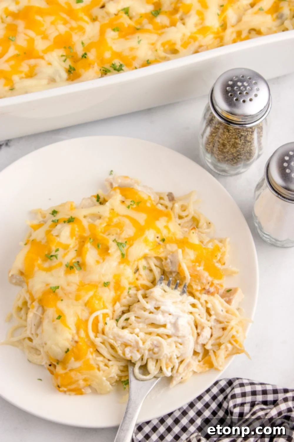 Chicken tetrazzini on a plate with salt and pepper shakers to the side 
