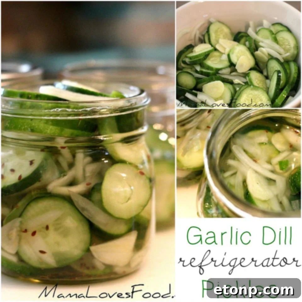 Jars of homemade garlic dill refrigerator pickles ready for storage