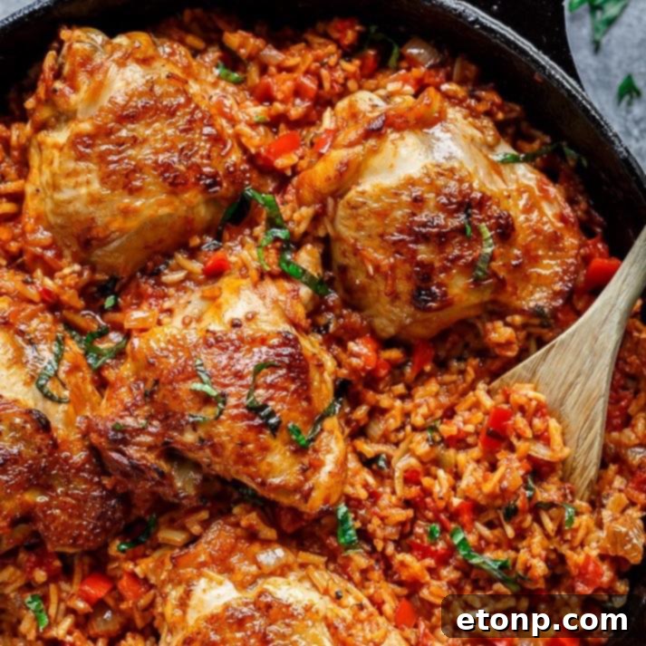 One-pan tomato basil chicken and rice dish garnished with fresh basil