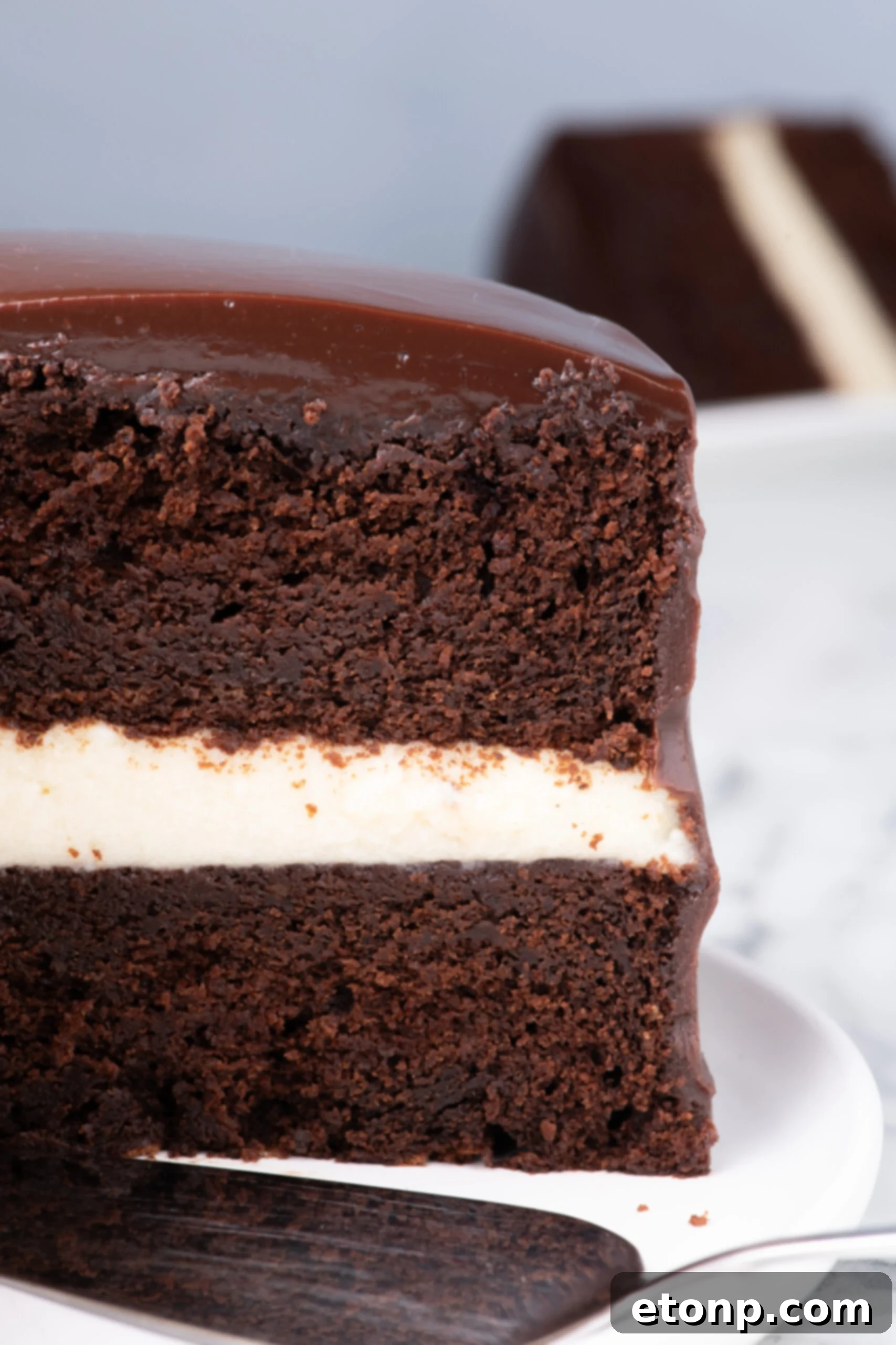Side view of the inside of the ding dong cake showing the moist  layers