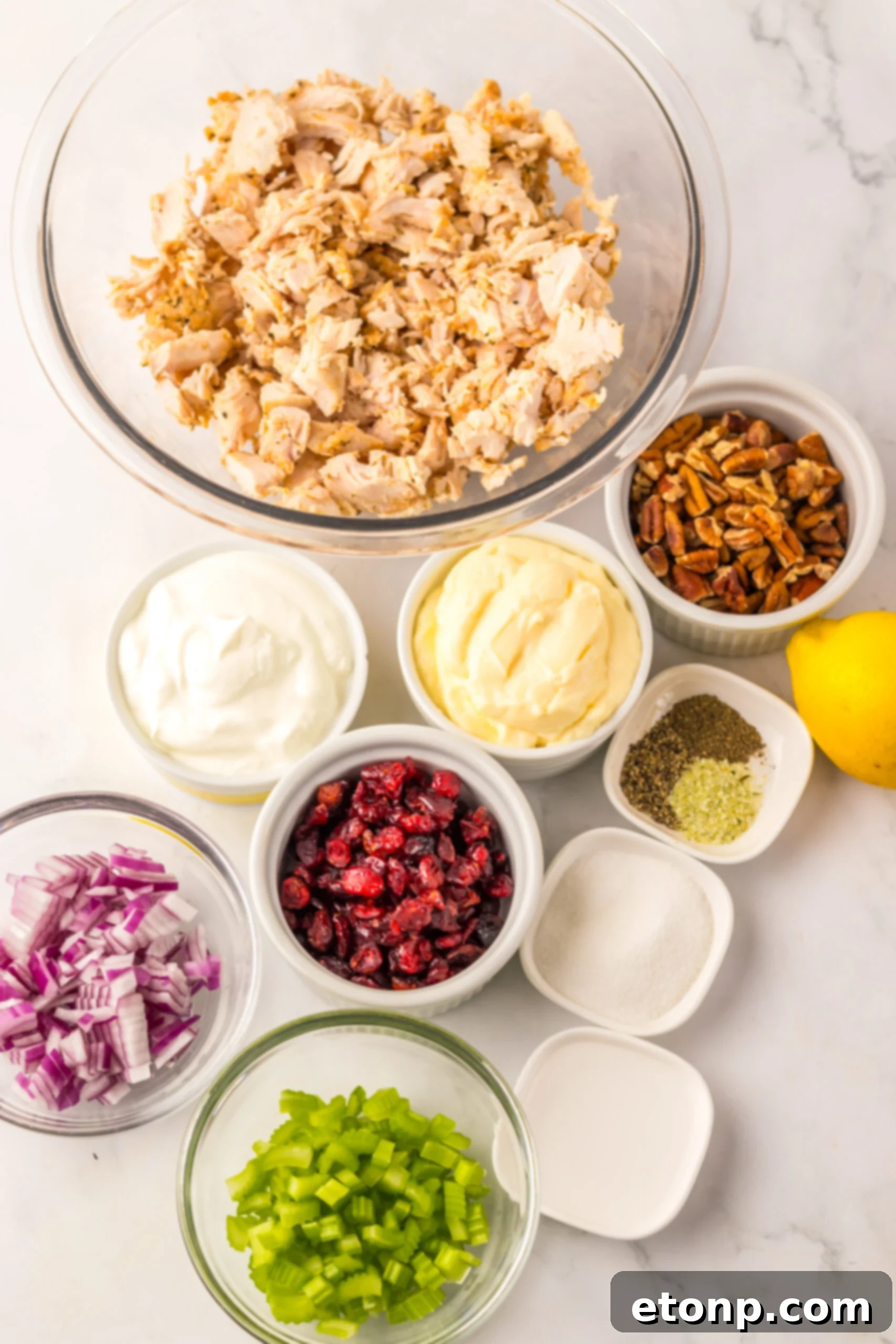 Cranberry Pecan chicken salad ingredients on a white marble table 