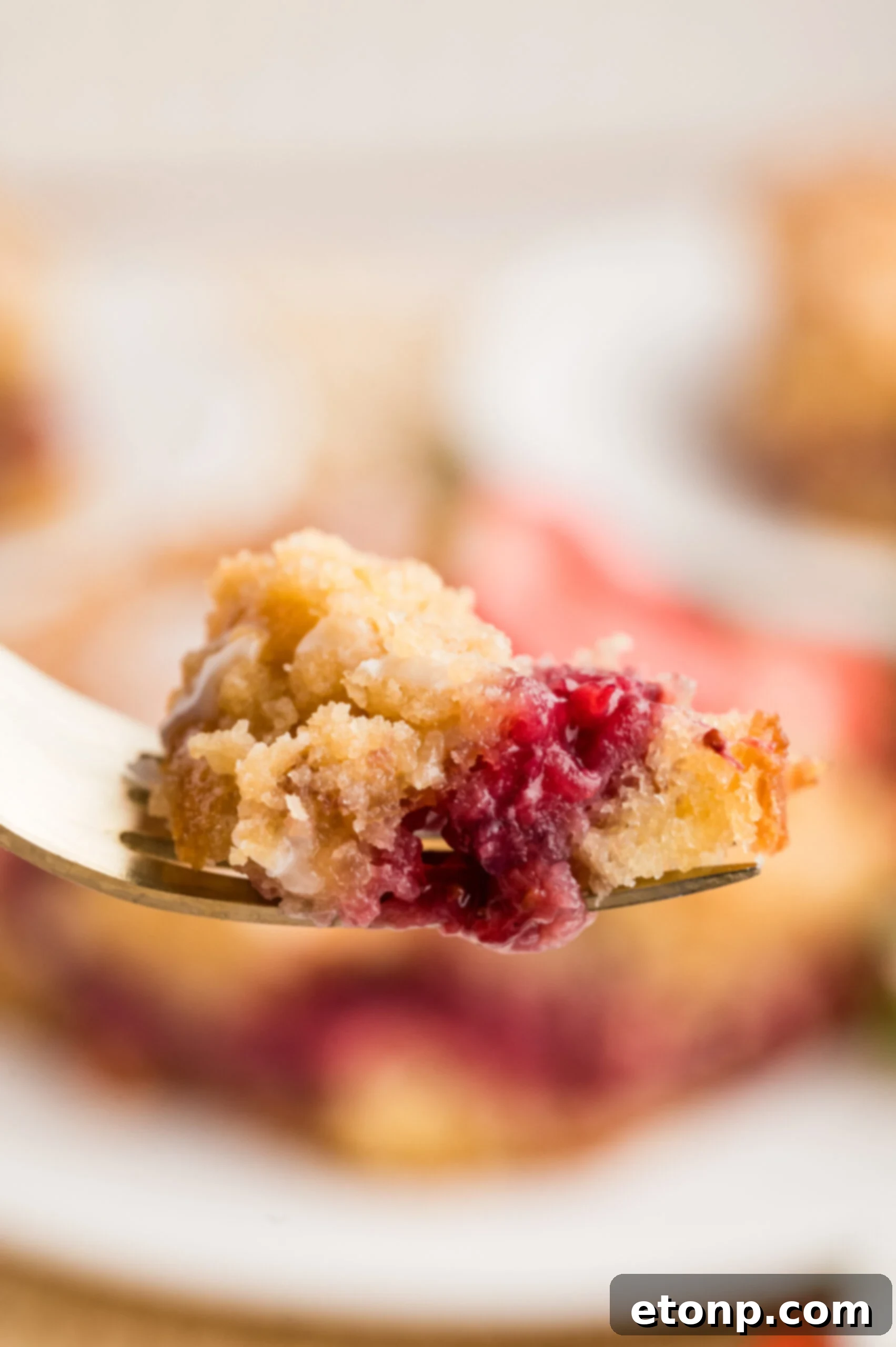 Fresh Strawberry Coffee Cake 23 A close-up shot of a bite of Strawberry Coffee Cake on a fork, showing the moist cake, jammy strawberry, and crumb topping.