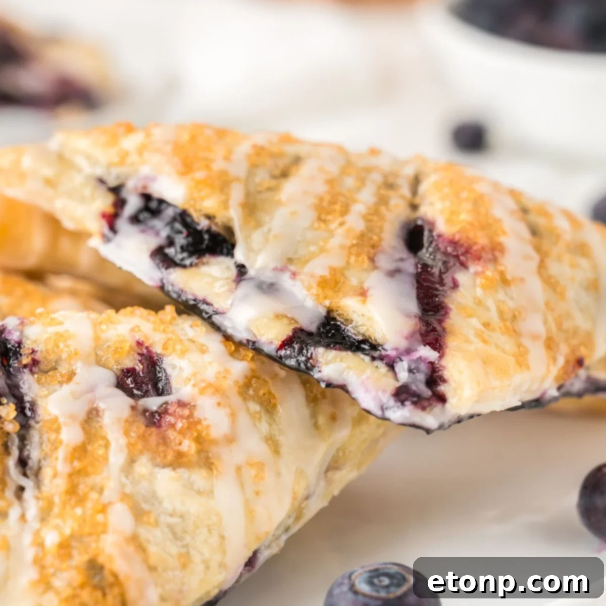 Blueberry Turnovers on plate with fresh blueberries around them on the plate 