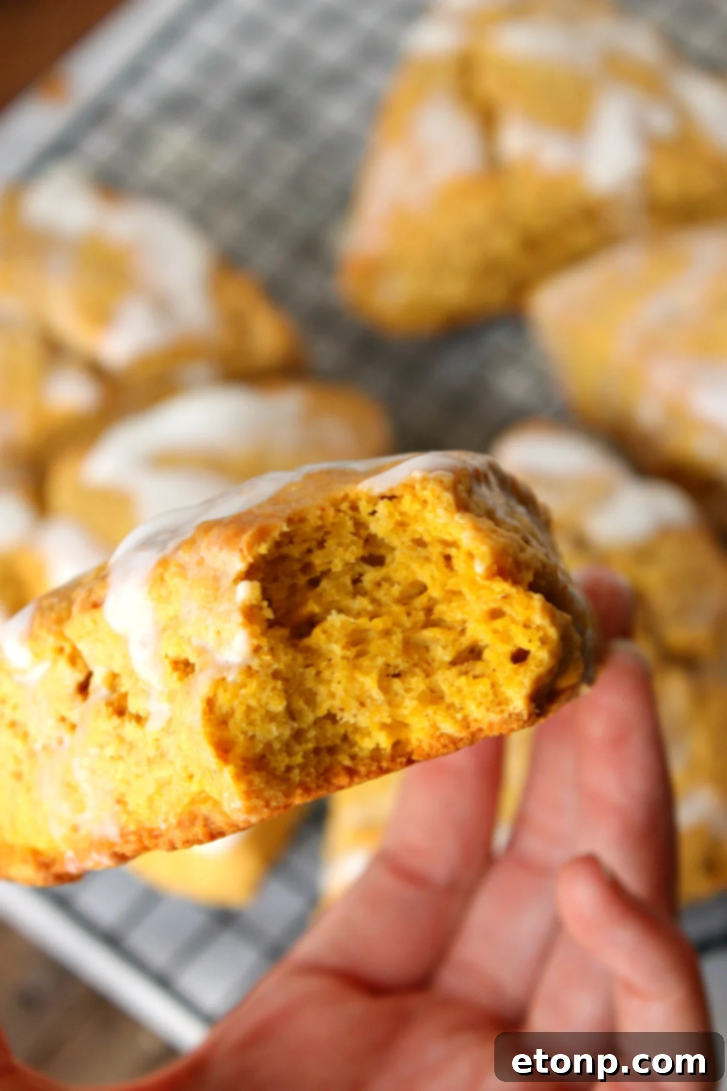 A stack of perfectly baked, moist pumpkin pie glazed scones on a wire cooling rack, ready for glazing.