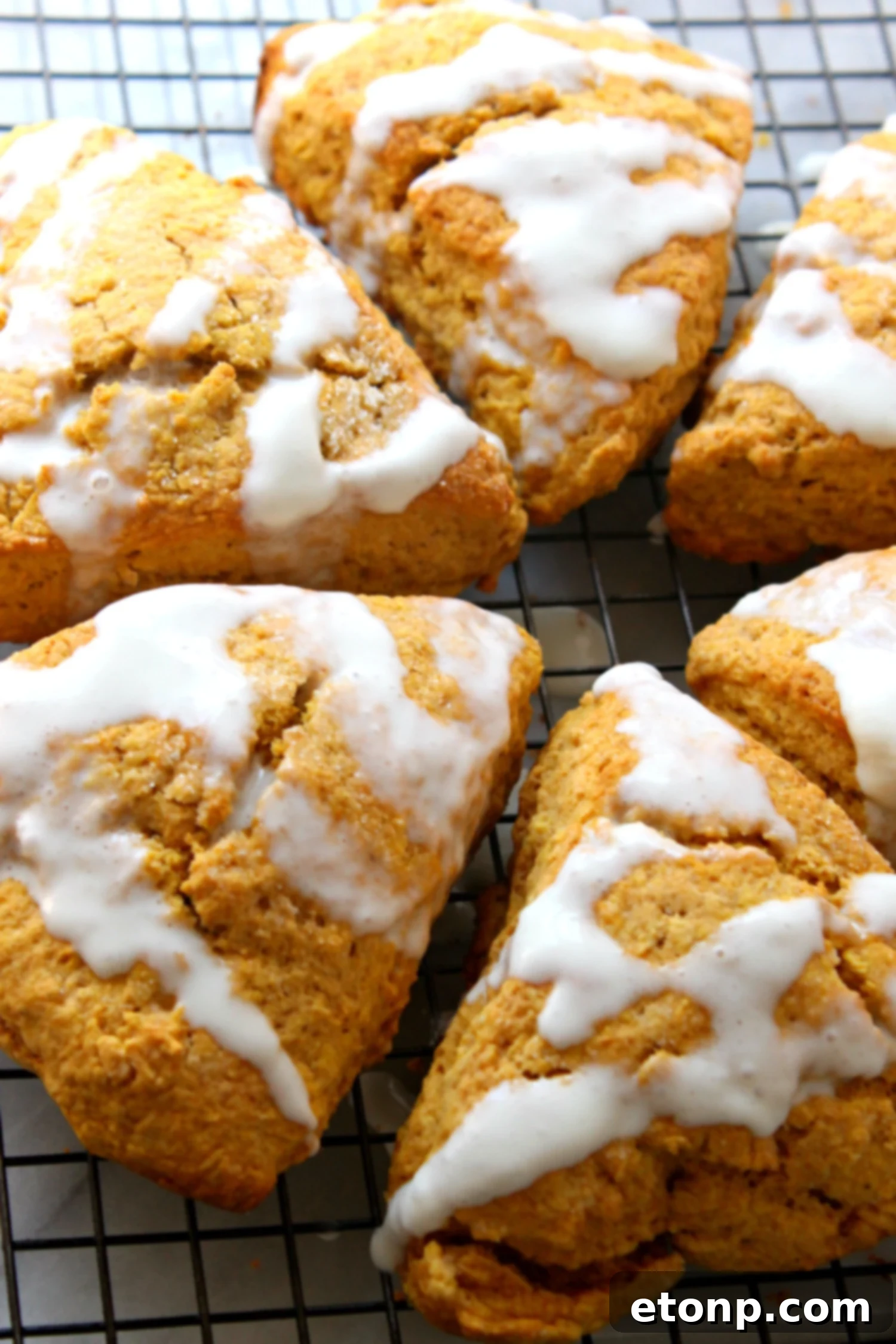Close-up shot of a single homemade pumpkin scone, showing its fluffy, moist interior and golden crust.