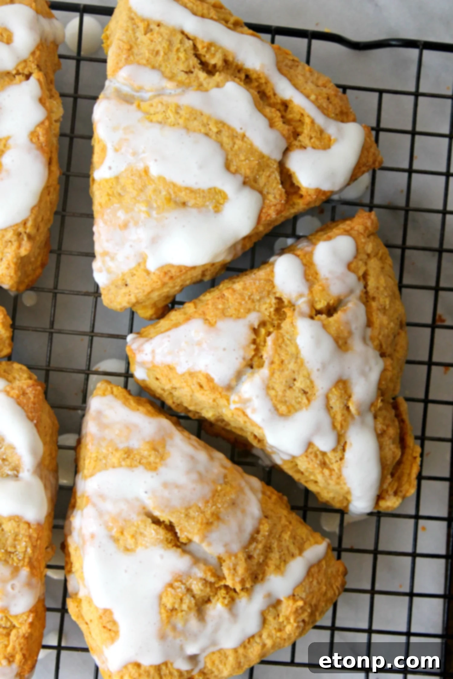 A beautiful arrangement of four glazed pumpkin scones, highlighting their golden color and inviting texture.