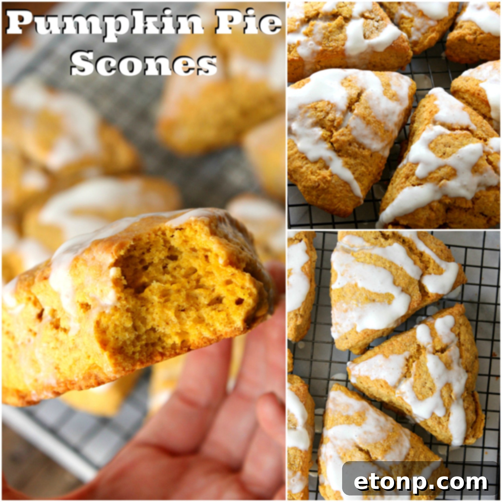 A close-up of a single, perfectly baked and glazed pumpkin scone, highlighting its beautiful texture and appeal.