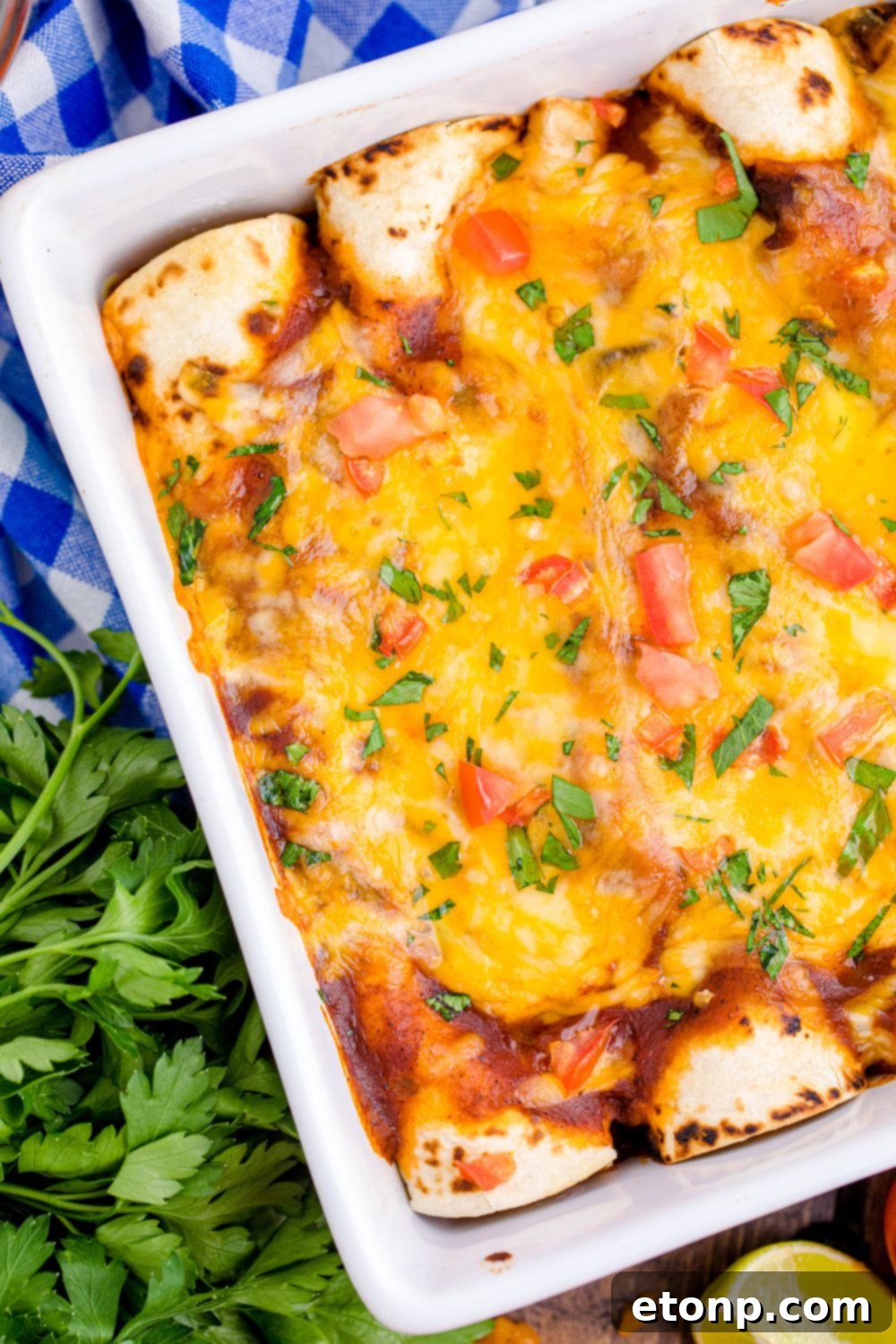 From Scratch Enchilada Perfection 13 close up view of enchiladas in a casserole dish on table with cilantro to the side, showcasing the rich red sauce