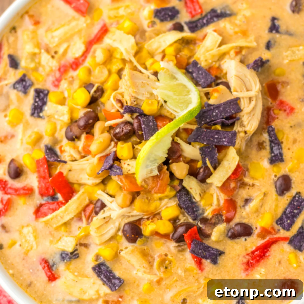 Close up view of some corn, bean, and tortilla chip toppings on tortilla soup. 