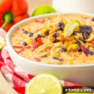 Close up side view of Slow Cooker Tortilla Soup in a white bowl with a tortilla chip topping.