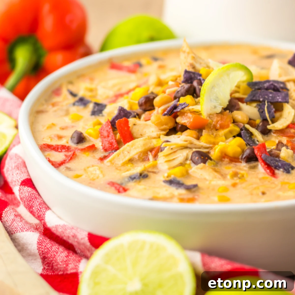 Close up side view of Slow Cooker Tortilla Soup in a white bowl with a tortilla chip topping. 