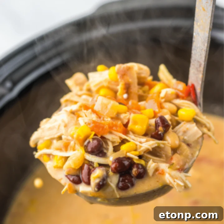 A ladle removing some of the tortilla soup from the slow cooker.  